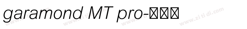 garamond MT pro字体转换